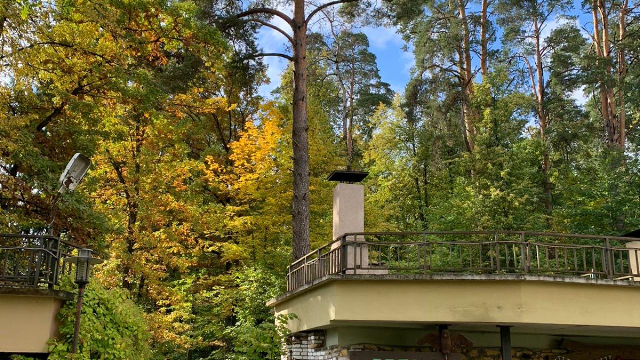 Реальные фото Lesnaya Sloboda