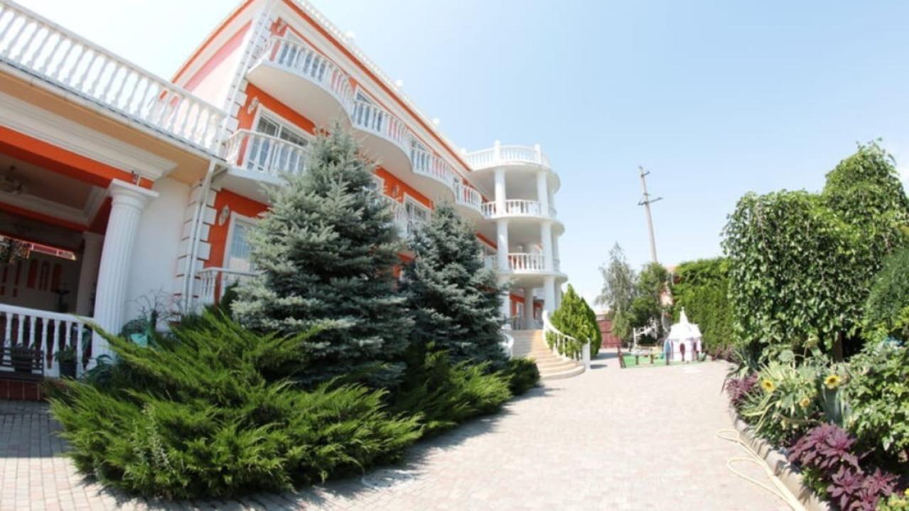 Real photos of Apelsin