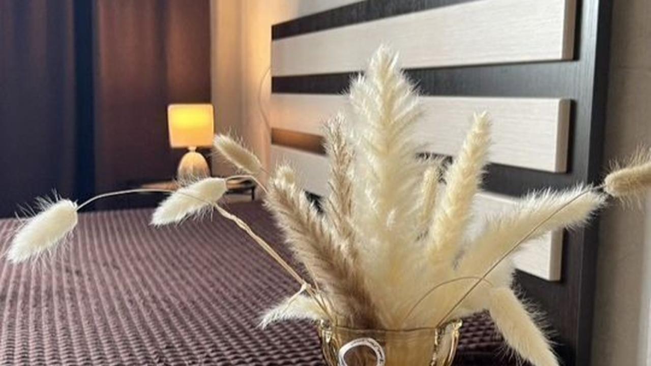 Real photos of Studio apartment on Palm Street 5