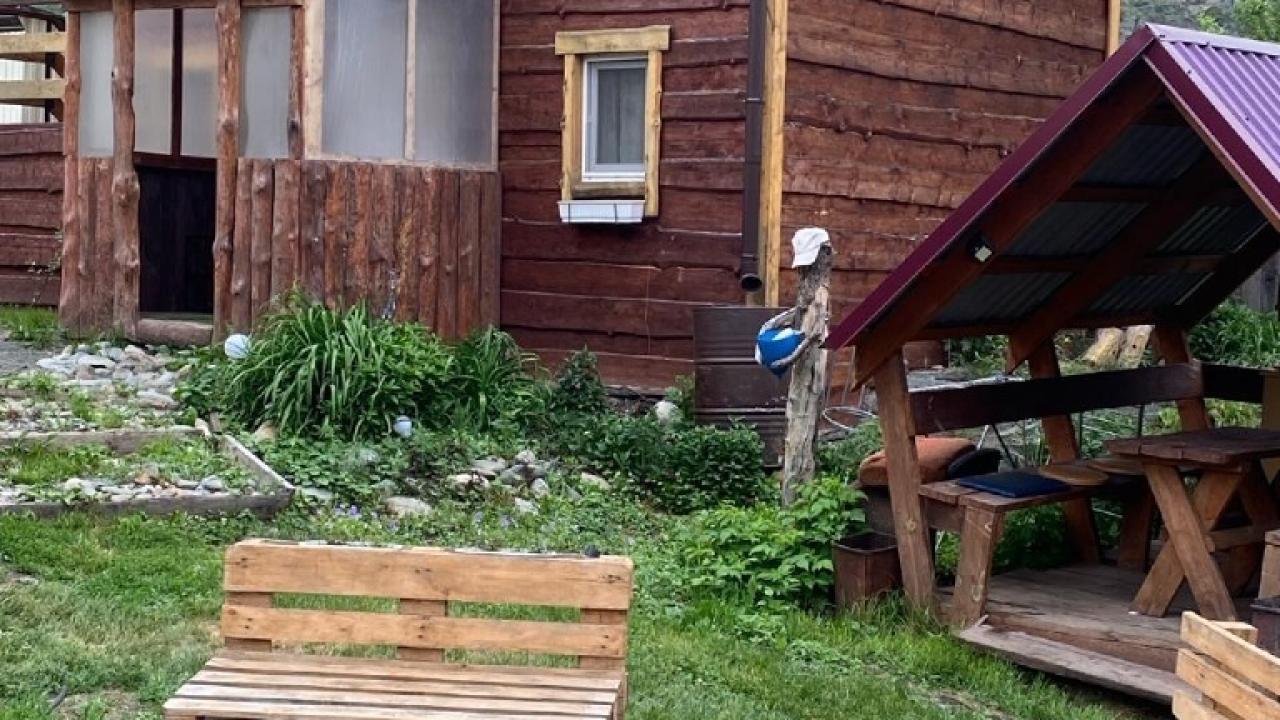 Real photos of Chizhik on Dvornikov, 12 A