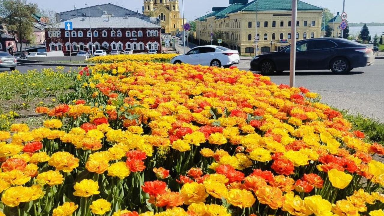 Real photos of Volzhsky