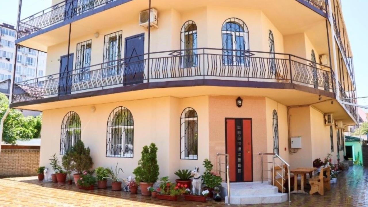 Реальные фото Самшит