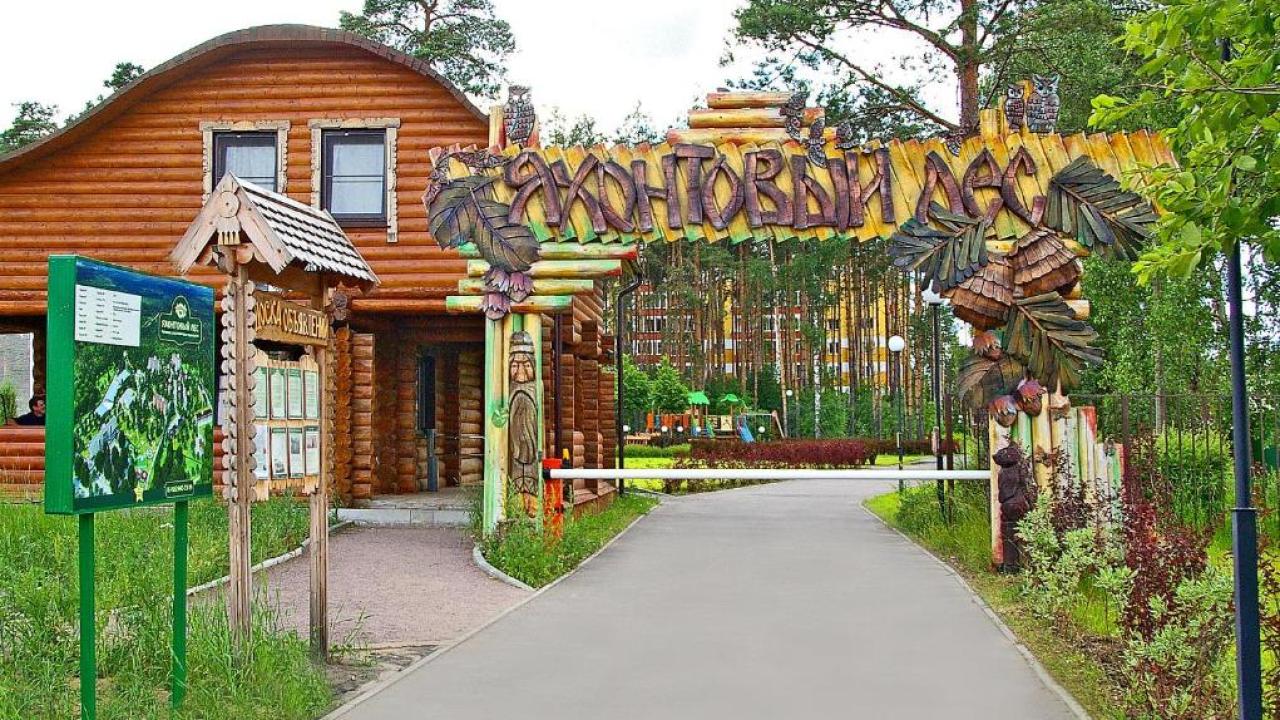 Реальные фото Апартаменты Яхонтовый Лес