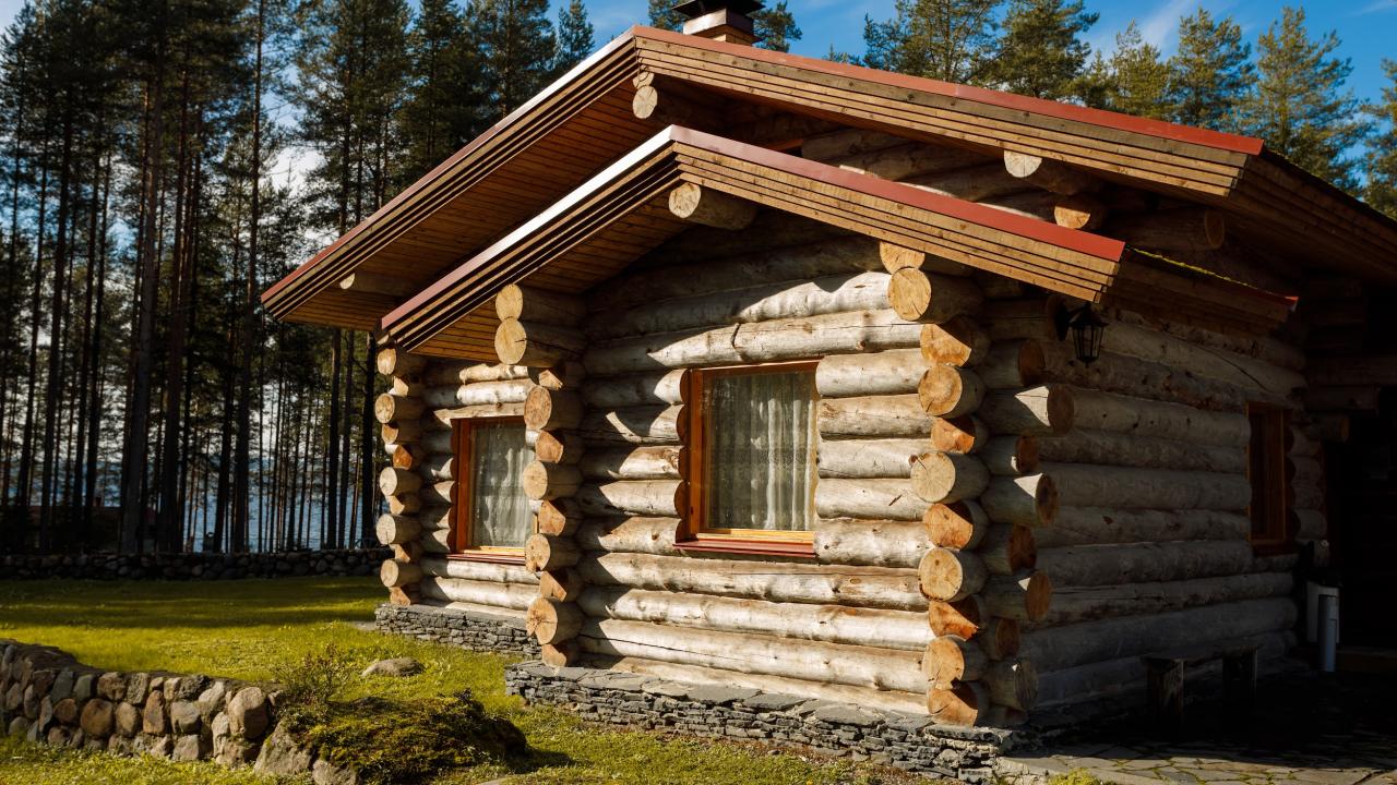 Реальные фото Медвежка в Карелии