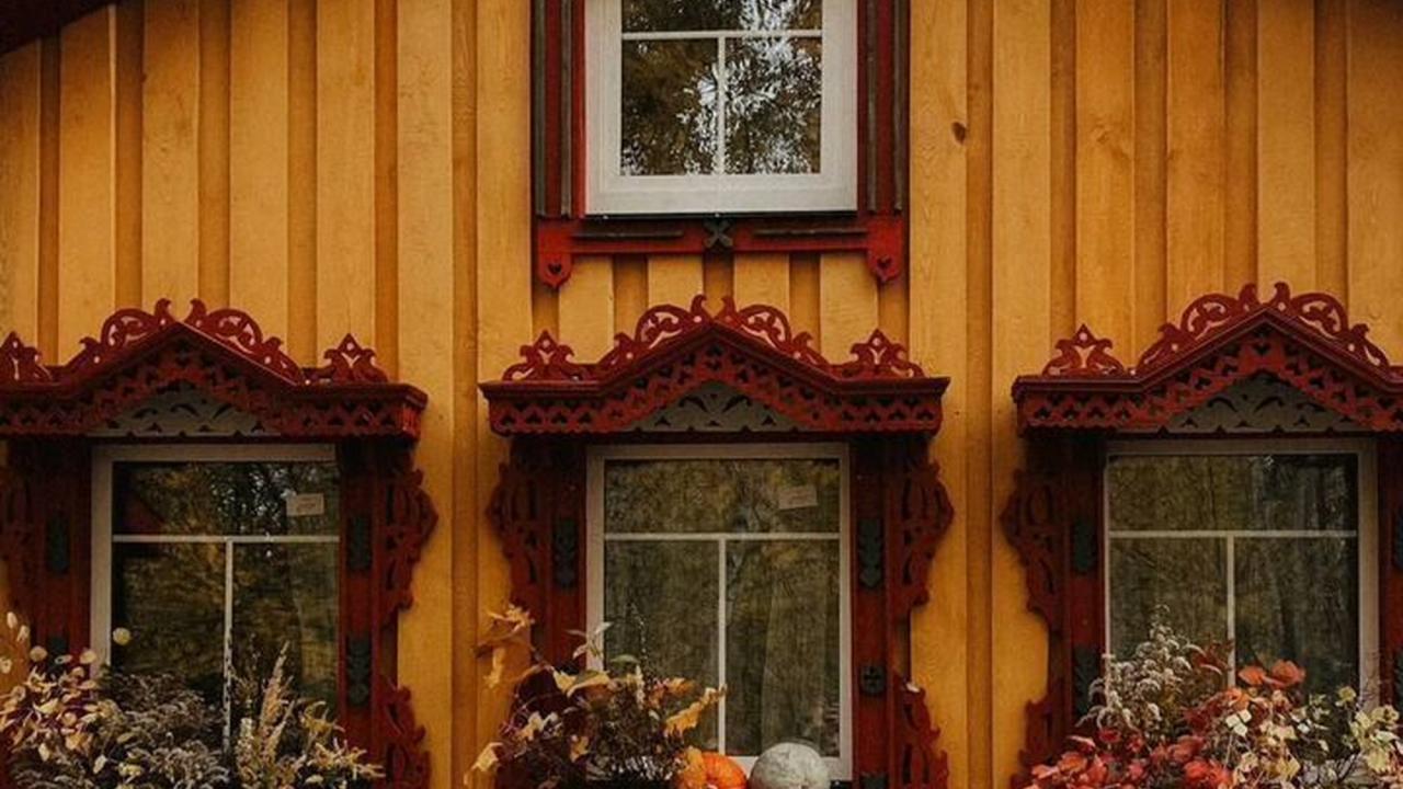 Real photos of Cozy house in the SNT Belopolye 187