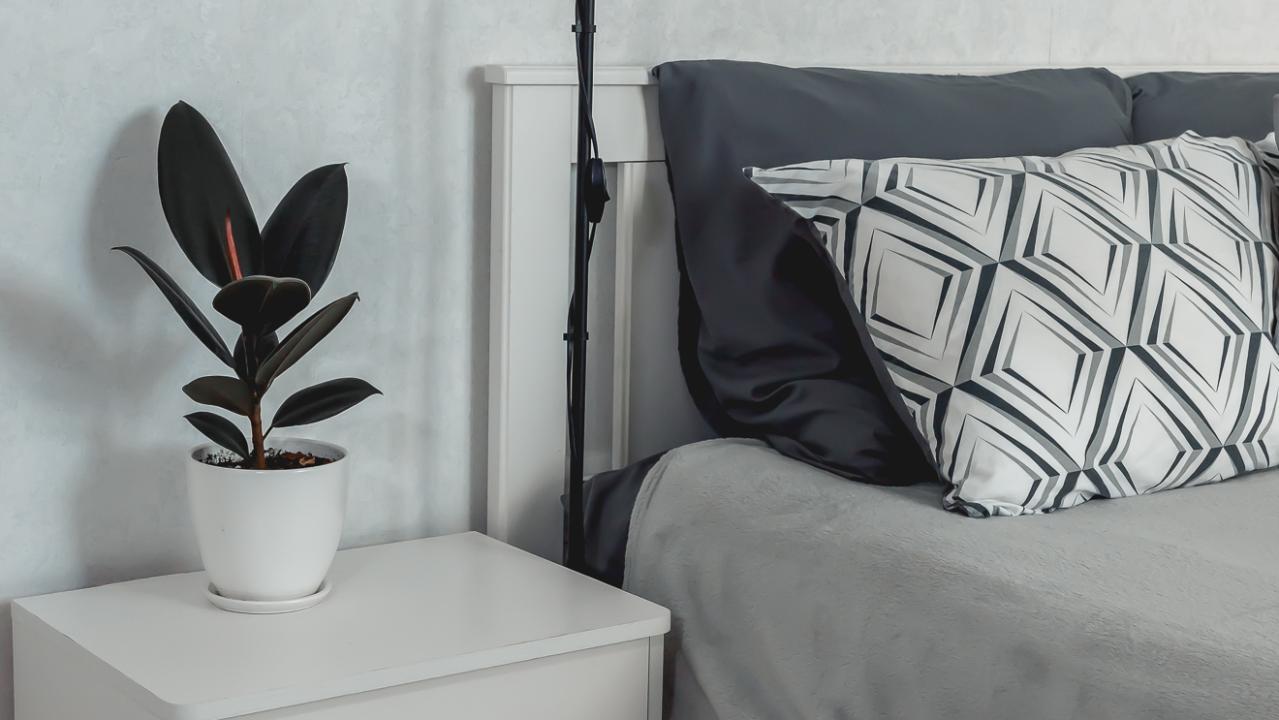 Реальные фото Eliza Home на улице Плесецкая 10