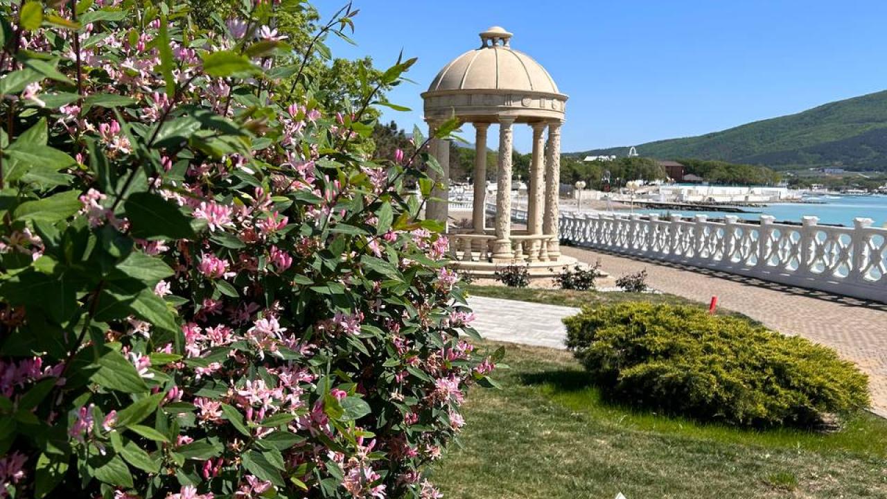 Real photos of Black Sea health resort Kabardinka