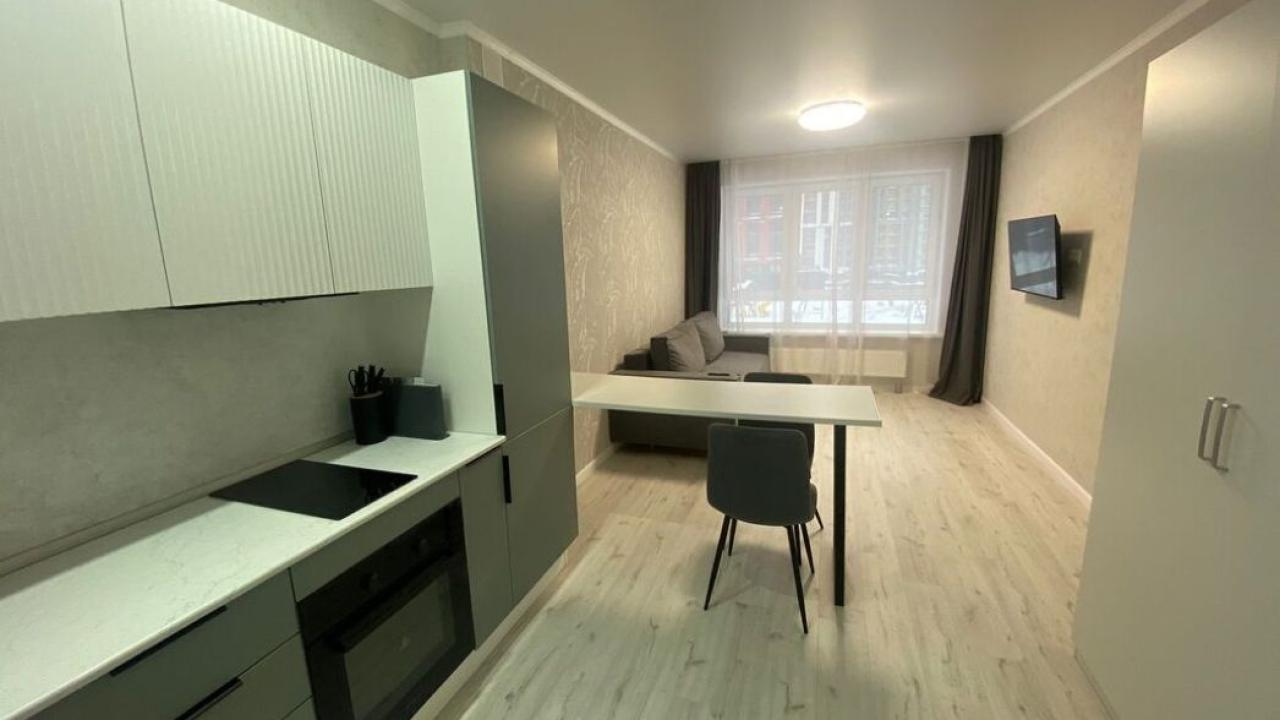 Real photos of Studio apartment with Euro renovation in the city center