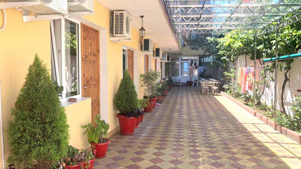 Реальные фото Дельфинчик