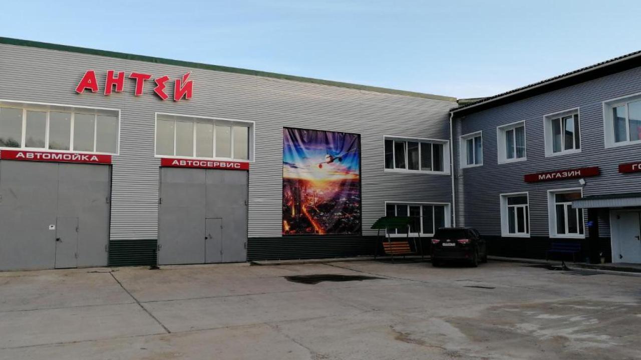 Real photos of Antei