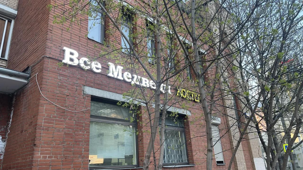 Реальные фото Все медведи