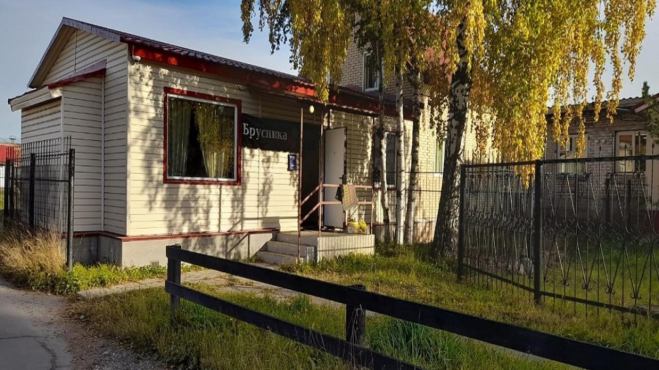 Реальные фото Брусника