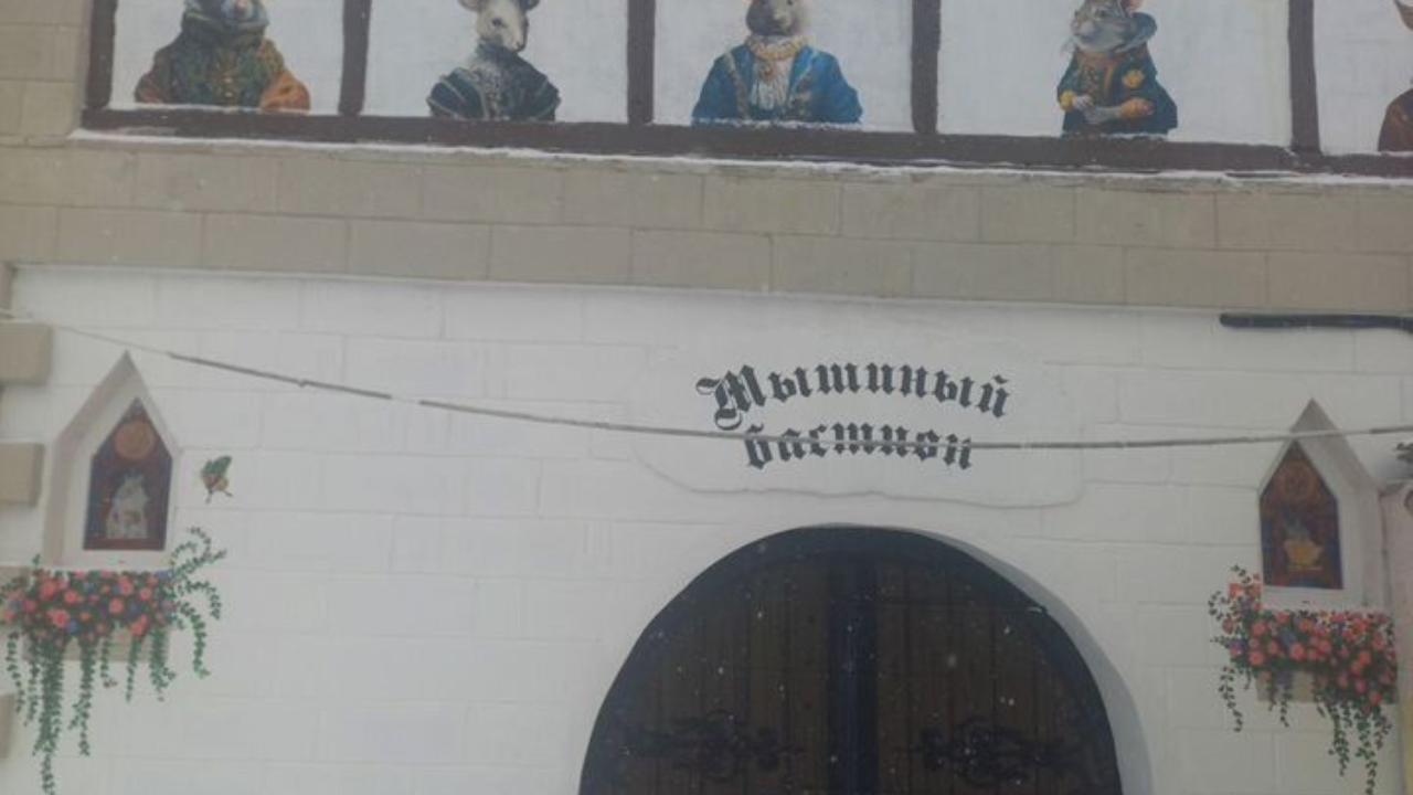 Реальные фото Замок "Мышиный баcтион"