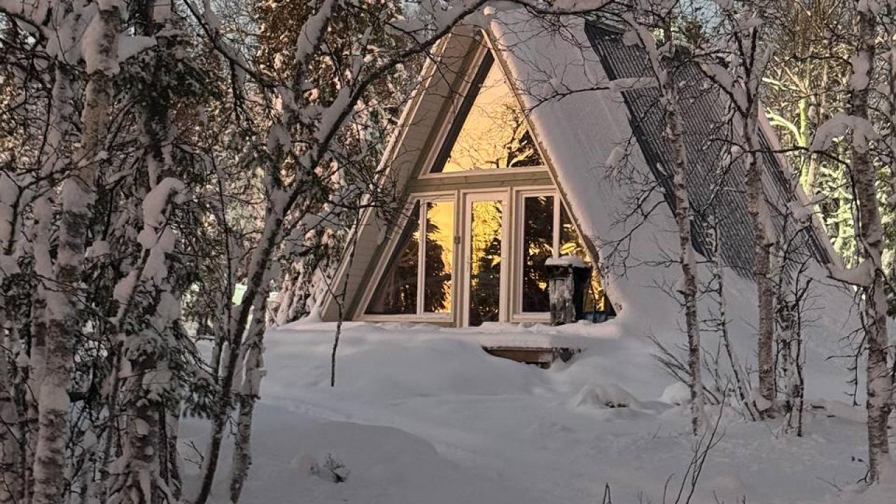 Real photos of Husky Camp