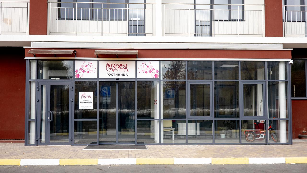 Real photos of Sakura