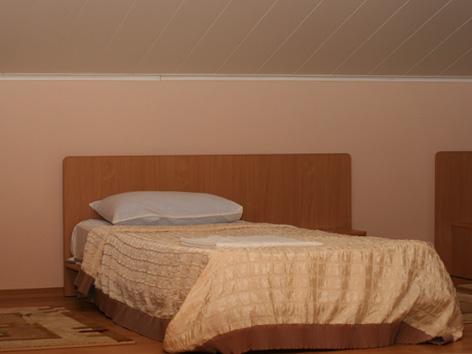 Номер полулюкс (с завтраком, мансарда)