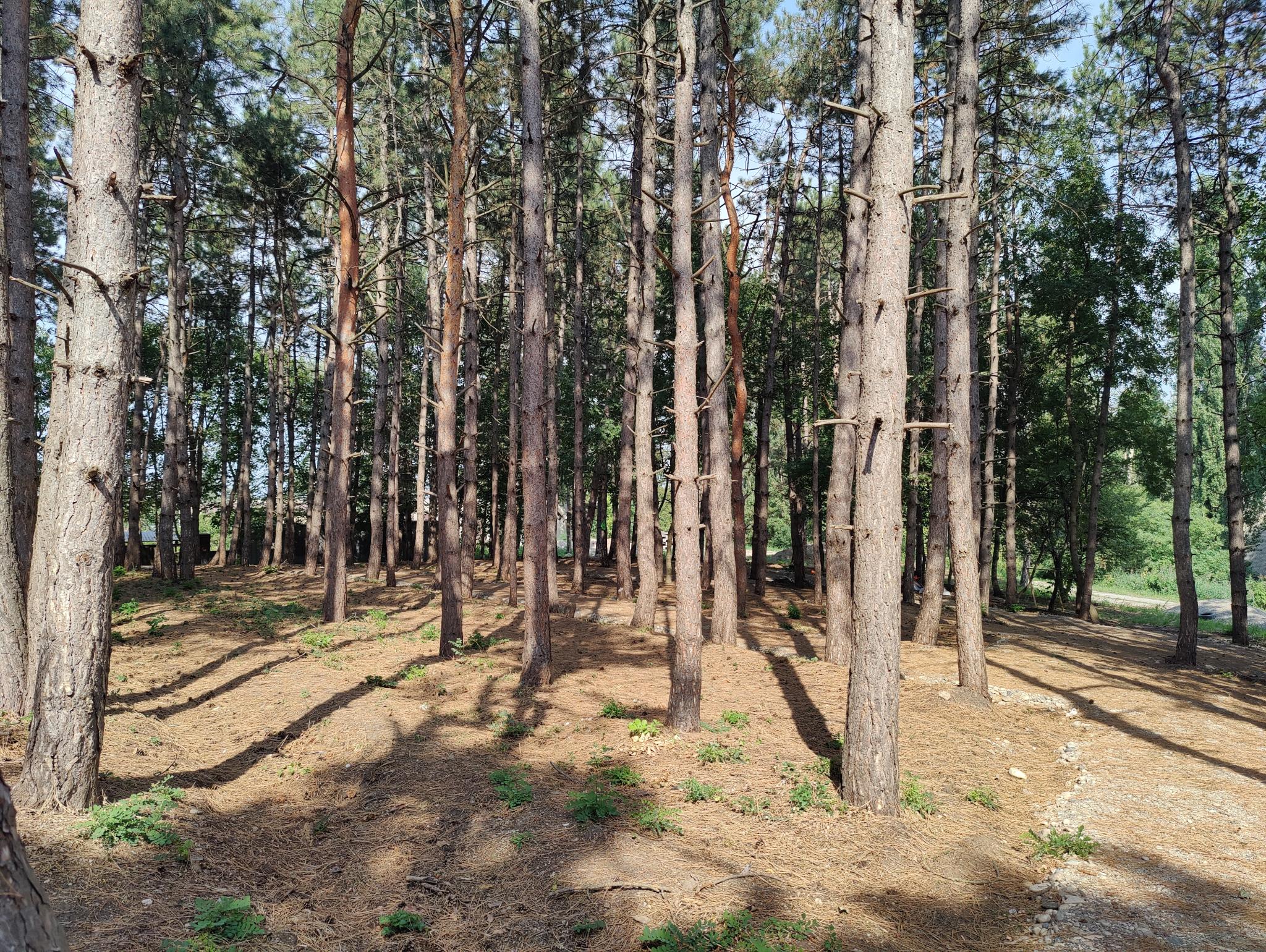 АМК Montis MediSpa (Монтис МедиСпа) Отель Пятигорск 5* - 8