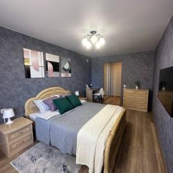 1-комнатные апартаменты стандарт с 1 двуспальной кроватью