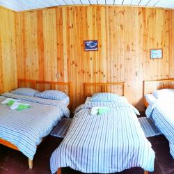 Фото Отель Зелёный колобок