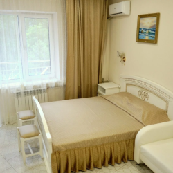 Номер стандарт с 1 двуспальной кроватью и дополнительным местом (с завтраком)