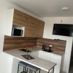 Фото Апартаменты на Суздальском шоссе 18к4