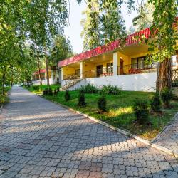 Номер делюкс с 1 двуспальной кроватью (мансарда)