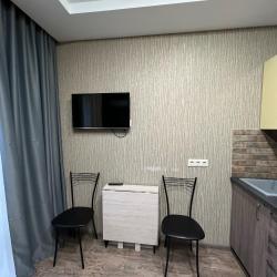 Фото Апартаменты на улице Ленина 219А/1к1