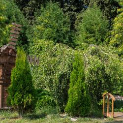 Фото Отель Volkoff Sky (Волков Скай)