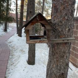 Фото Отель Коттедж в Абзаково