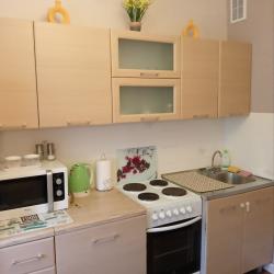 Фото Апартаменты на улице Дружинина 62