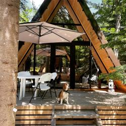 Коттедж стандарт №2