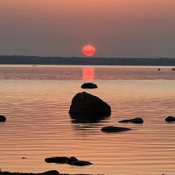 Фото Отель Финский Лес