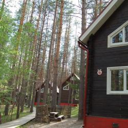 Фото Отель Ягодная деревушка