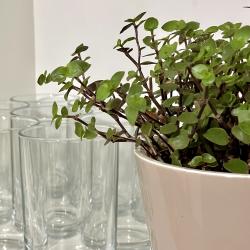 Фото Отель AmKam (АмКам)