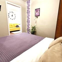 1-комнатные апартаменты студия