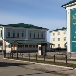 Фото Отель Петровский