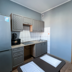 Фото Апартаменты на улице Старостина 11к2