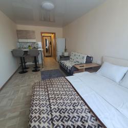 Фото Апартаменты на улице Некрасовская 46