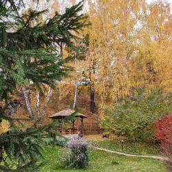 Фото Отель Каменный цветок