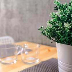 Фото Отель Home Hotel (Хоум)