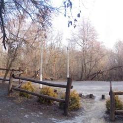 Фото Отель Людмила