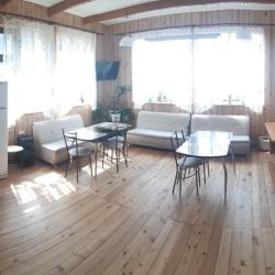 Фото Отель Ёлочка