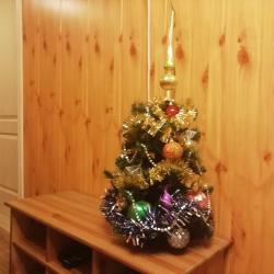 Фото Отель Бунгало