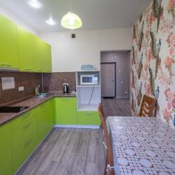 Фото Апартаменты на улице Дмитрия Менделеева 2к1