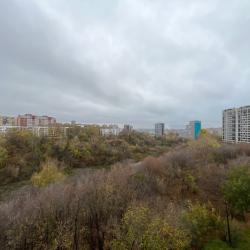1-комнатные апартаменты студия №2