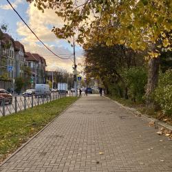Фото Апартаменты Grape Room Apartment (Грейп Рум Апартмент) на проспекте Мира 122