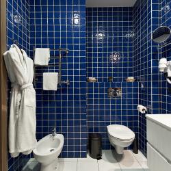 Номер студия премиум с 1 двуспальной кроватью