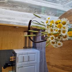 Фото Отель Green Land (Грин Лэнд)