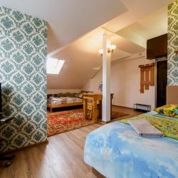 Фото Отель Родина