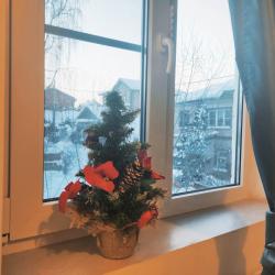 Фото Отель Белоснежный Дом